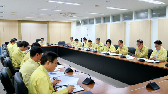 링링 이미지
