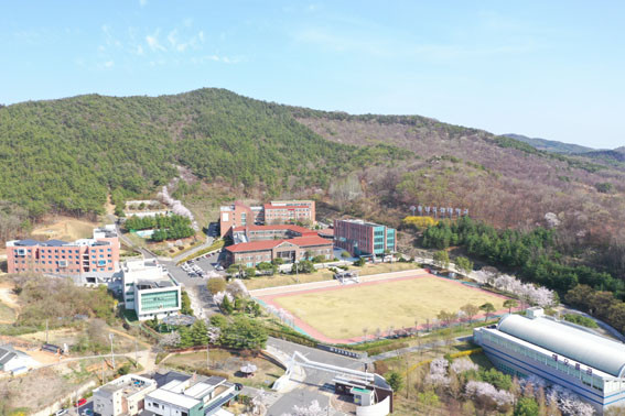 열리 이미지